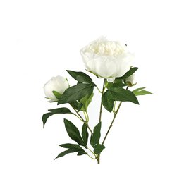 Umělá květina Paeonia bílá 73x23cm
