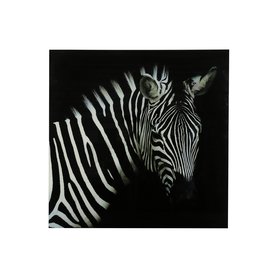 Obraz Zebra "Wild life" L 80x80x5cm černobílý