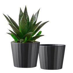 Obaly na květináče Umea Pure zaujmou jemným reliéfem a barevností
