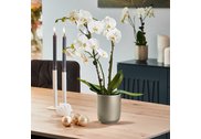 Květináč na orchidej keramický v moderních barvách