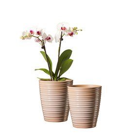 obal keramický orchid Bergamo pr13 krémový