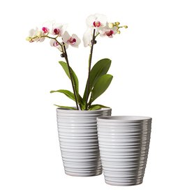 obal keramický orchid Bergamo pr13 šedý
