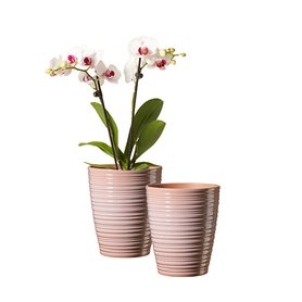 obal keramický orchid Bergamo pr13 terra