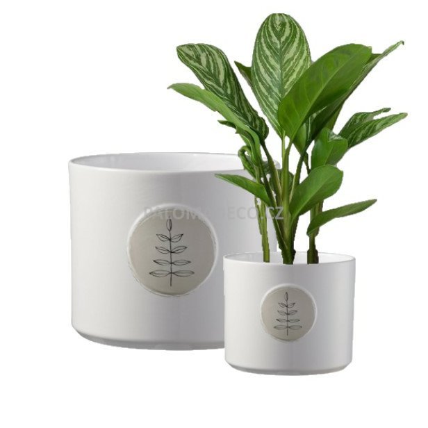 Obal na květiny v hravém designu.