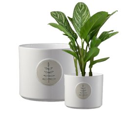 obal 13cm botanic friend 2476