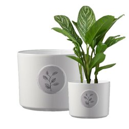 obal 13cm botanic friend 2475