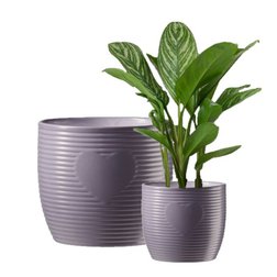 obal Heartbeat 13cm lilac 2826