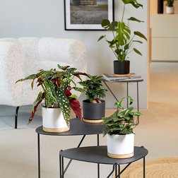 Obaly ze série Oslo nás s sebou zavedou na výlet do Skandinávie.