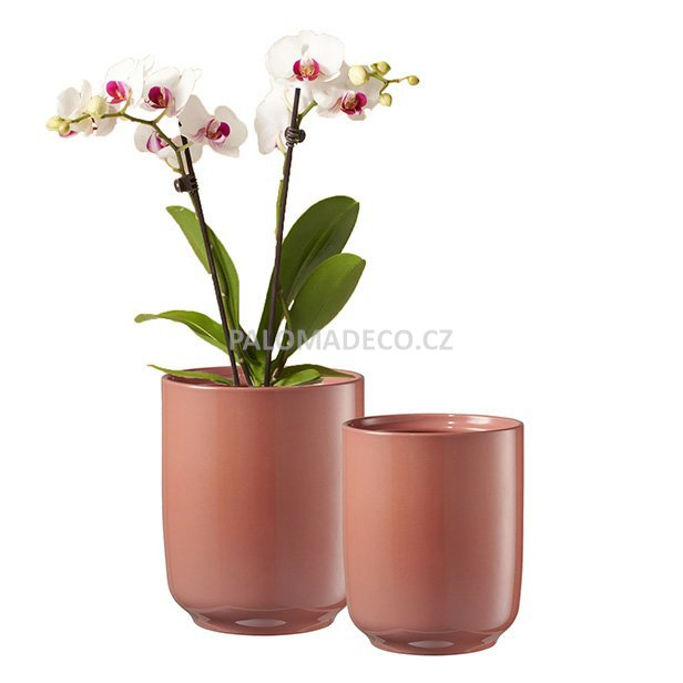 Elegantní keramické květináče na orchidej v moderních barvách pro vyniknutí květenství orchidejí.