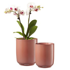 obal keramický orchid Bari pr15 liči růžová