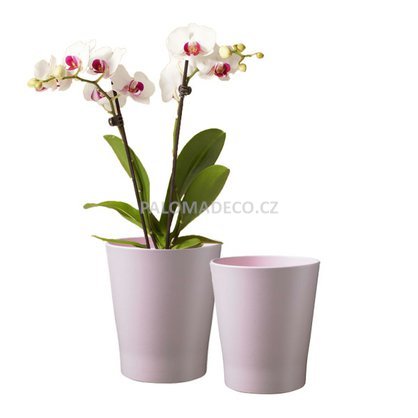 Speciální obal kolekce Merina Pretty pro orchideje nabízí nadčasový design.