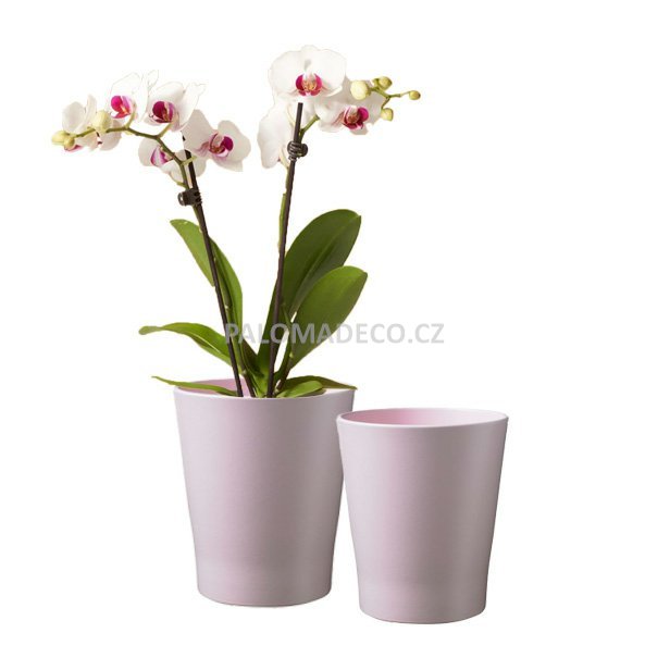 Speciální obal kolekce Merina Pretty pro orchideje nabízí nadčasový design.