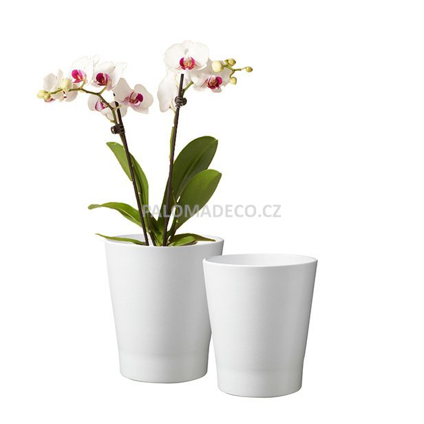 Speciální obal kolekce Merina Pretty pro orchideje nabízí nadčasový design.