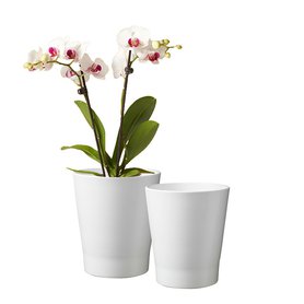 obal Merina Action orchid  pr15 bílý