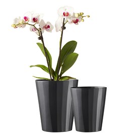 obal keramický orchid Umea pr15 černý