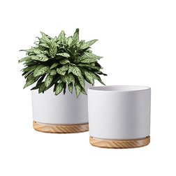 Obaly ze série Oslo nás s sebou zavedou na výlet do Skandinávie.