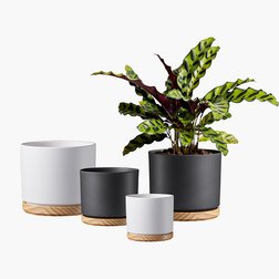 Obaly ze série Oslo nás s sebou zavedou na výlet do Skandinávie.