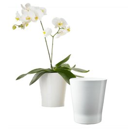 obal orchidejový pr12cm Merina bílý lesklý