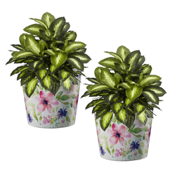 obal keramický pr14 Dallas Bloom
