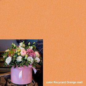 Flowerbox Recycard Orange matt - ceny za balení