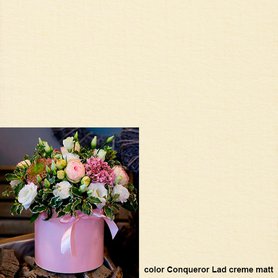Flowerbox Conqueror Lad cream mat - ceny za balení
