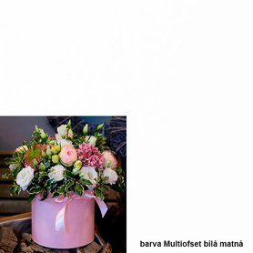 Flowerbox Multiofset white matt - ceny za balení