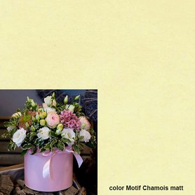 Flowerbox Motif Chamois yellow mat -ceny za balení