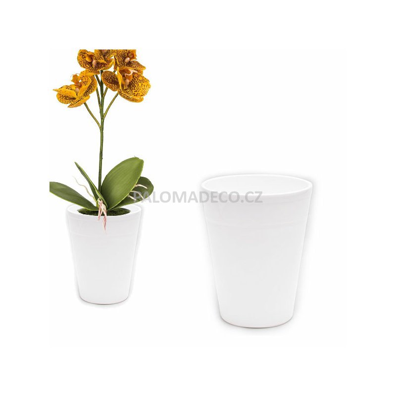 Obal Na Orchidej