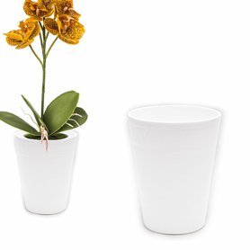 obal orchidejový Monique pr13cm bílý lesklý