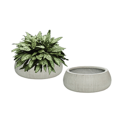 Eileen XL, Light Grey (vert. ridg.)