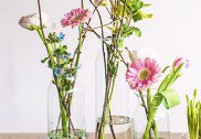 Vázy a aearia